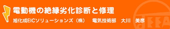 電動機の絶縁劣化診断と修理 旭化成EICソリューションズ(株)　電気技術部　大川　美彦