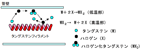 第3図　ハロゲンサイクル